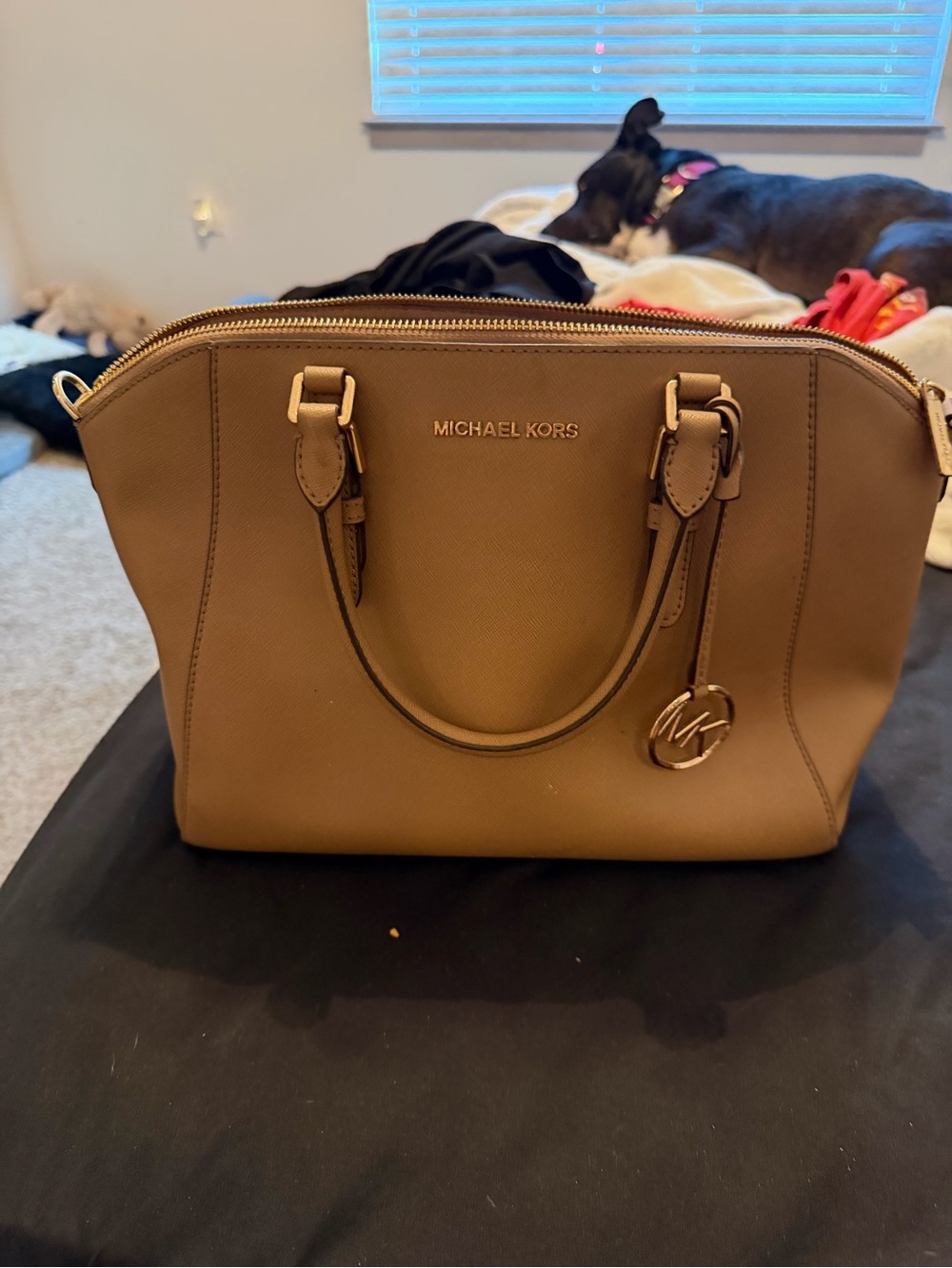 Brown Leather Michael Kors Purse